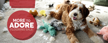 Kid on Floor with Father